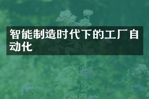 智能制造时代下的工厂自动化