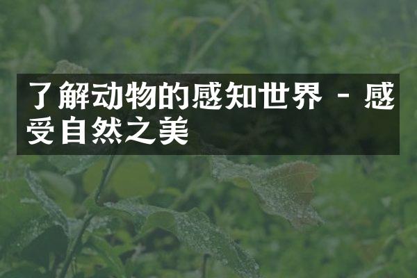 了解动物的感知世界 - 感受自然之美
