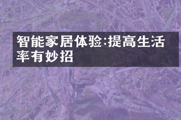 智能家居体验:提高生活效率有妙招