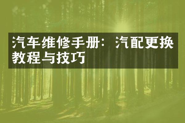 汽车维修手册：汽配更换教程与技巧