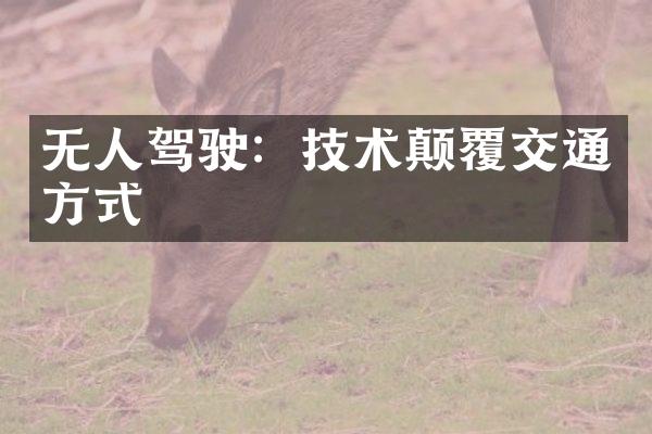 无人驾驶：技术颠覆交通方式