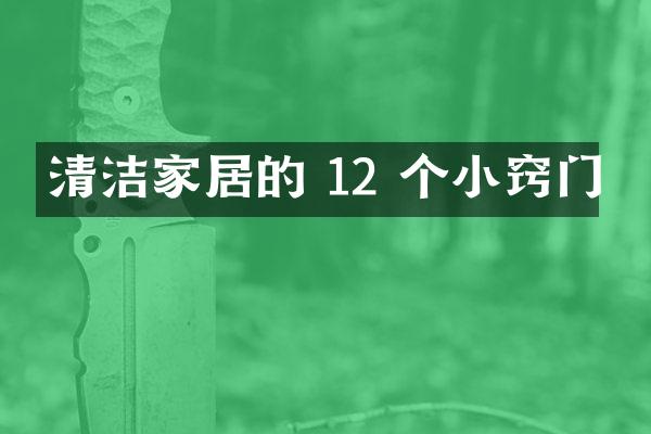 清洁家居的 12 个小窍门