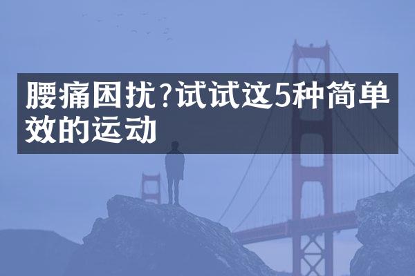 腰痛困扰?试试这5种简单有效的运动
