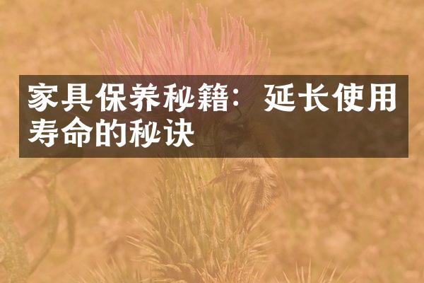 家具保养秘籍：延长使用寿命的秘诀