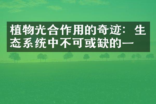 植物光合作用的奇迹：生态系统中不可或缺的一环