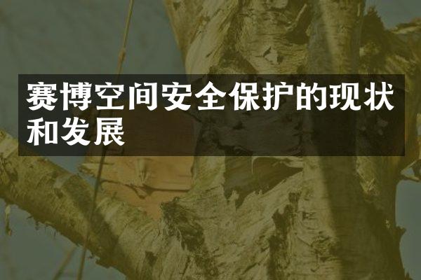 赛博空间安全保护的现状和发展