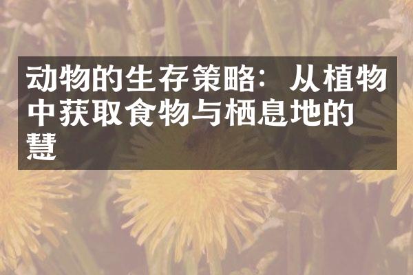 动物的生存策略：从植物中获取食物与栖息地的智慧