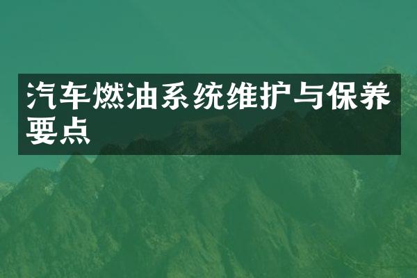 汽车燃油系统维护与保养要点