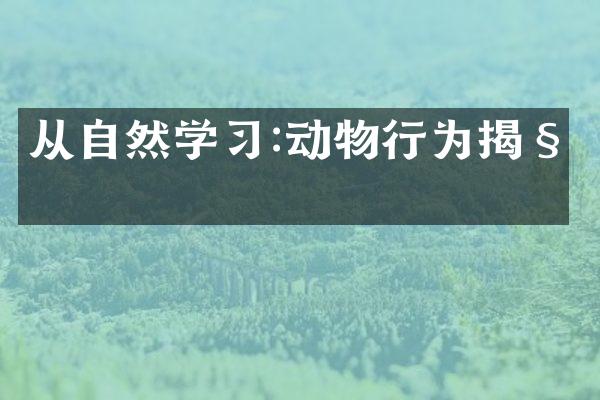 从自然学习:动物行为揭秘