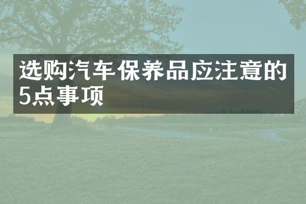 选购汽车保养品应注意的5点事项
