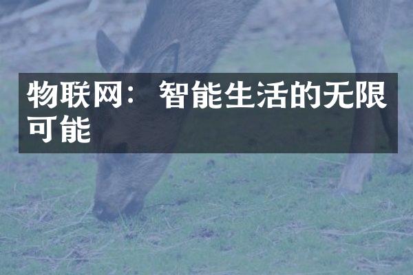 物联网：智能生活的无限可能
