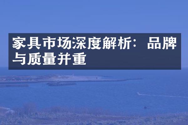家具市场深度解析：品牌与质量并重