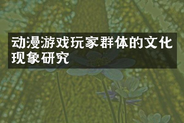 动漫游戏玩家群体的文化现象研究