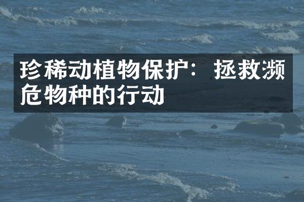 珍稀动植物保护：拯救濒危物种的行动