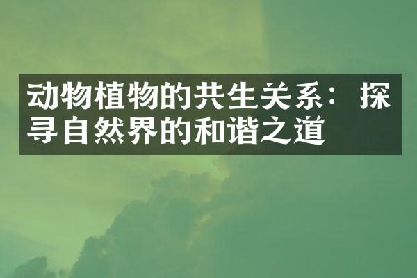 动物植物的共生关系：探寻自然界的和谐之道