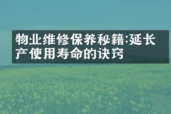 物业维修保养秘籍:延长房产使用寿命的诀窍