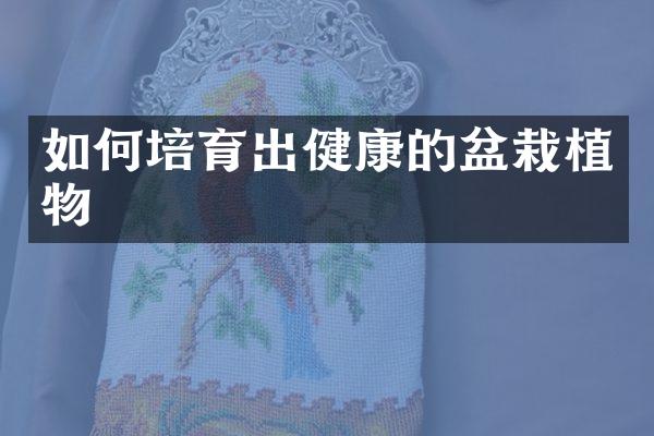 如何培育出健康的盆栽植物