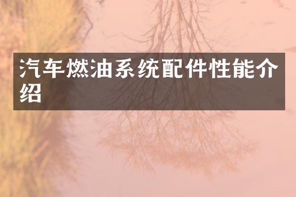 汽车燃油系统配件性能介绍