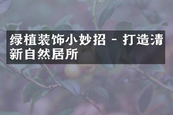 绿植装饰小妙招 - 打造清新自然居所