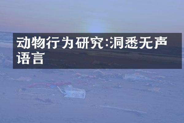 动物行为研究:洞悉无声的语言