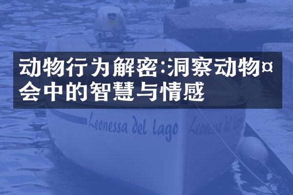 动物行为解密:洞察动物社会中的智慧与情感