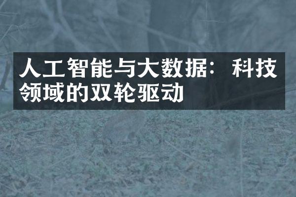 人工智能与大数据：科技领域的双轮驱动