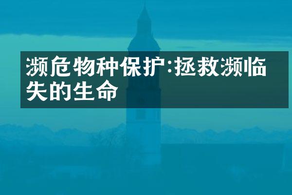 濒危物种保护:拯救濒临消失的生命