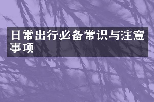 日常出行必备常识与注意事项