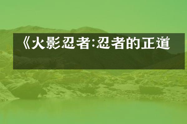 《火影忍者:忍者的正道》
