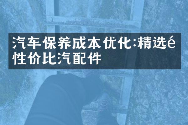 汽车保养成本优化:精选高性价比汽配件