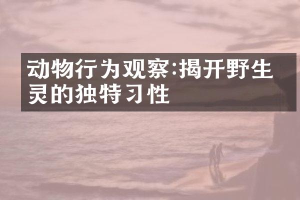 动物行为观察:揭开野生生灵的独特习性