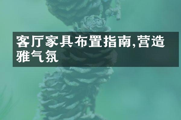 客厅家具布置指南,营造优雅气氛
