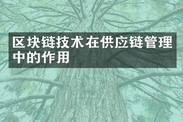 区块链技术在供应链管理中的作用