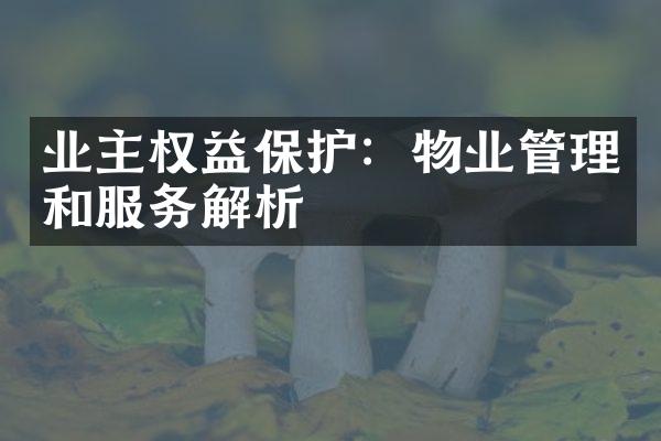业主权益保护：物业管理和服务解析