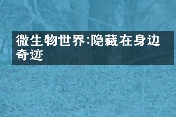微生物世界:隐藏在身边的奇迹