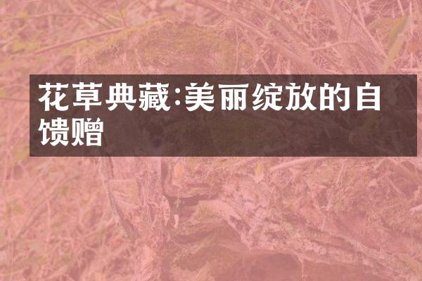 花草典藏:美丽绽放的自然馈赠