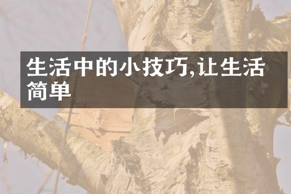 生活中的小技巧,让生活更简单