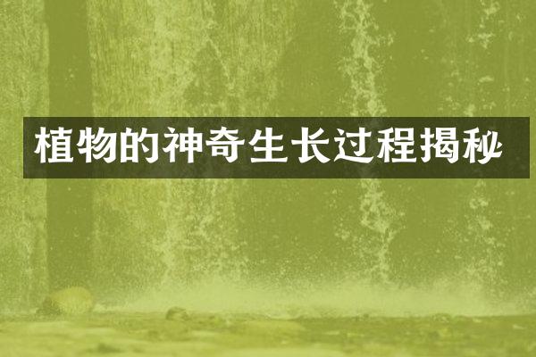 植物的神奇生长过程揭秘