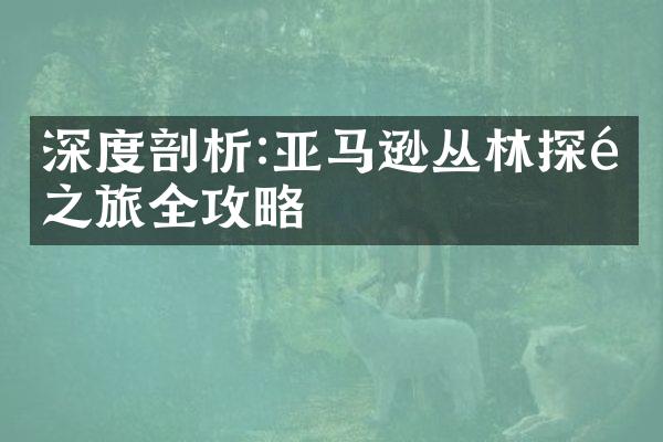 深度剖析:亚马逊丛林探险之旅全攻略