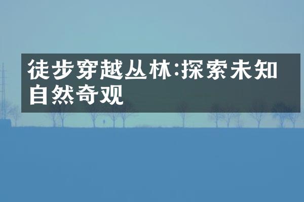 徒步穿越丛林:探索未知的自然奇观