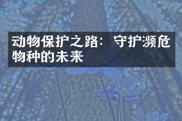 动物保护之路：守护濒危物种的未来
