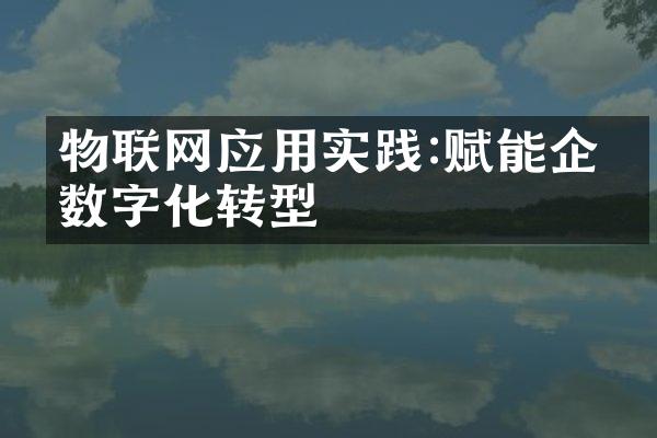 物联网应用实践:赋能企业数字化转型