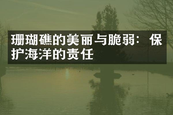 珊瑚礁的美丽与脆弱：保护海洋的责任