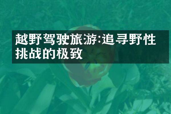 越野驾驶旅游:追寻野性和挑战的极致