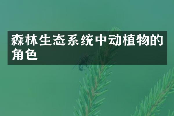 森林生态系统中动植物的角色