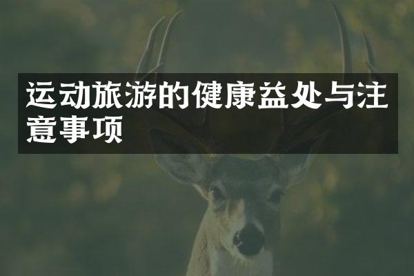 运动旅游的健康益处与注意事项