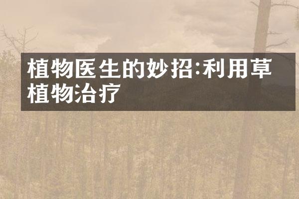 植物医生的妙招:利用草本植物治疗