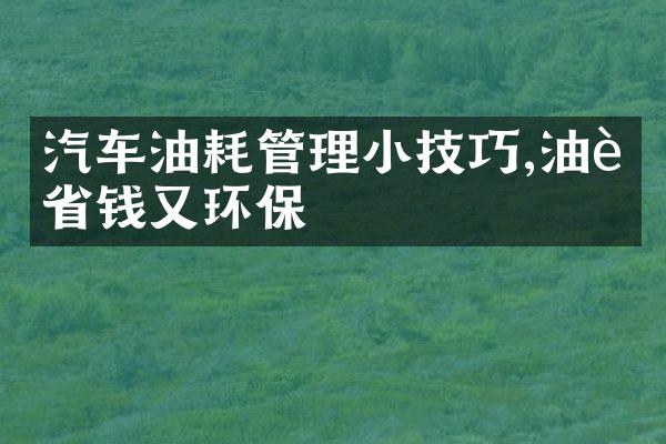汽车油耗管理小技巧,油费省钱又环保
