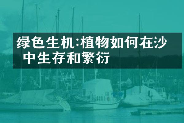 绿色生机:植物如何在沙漠中生存和繁衍