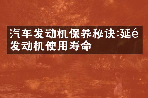 汽车发动机保养秘诀:延长发动机使用寿命